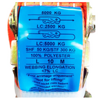 Cinta Catraca 5 ton 10 metros 5cm Amarração Carga Caminhão