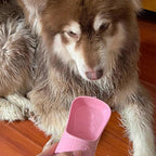 AquaPet 2 em 1 - Garrafa de Água 2 em 1 para Pets