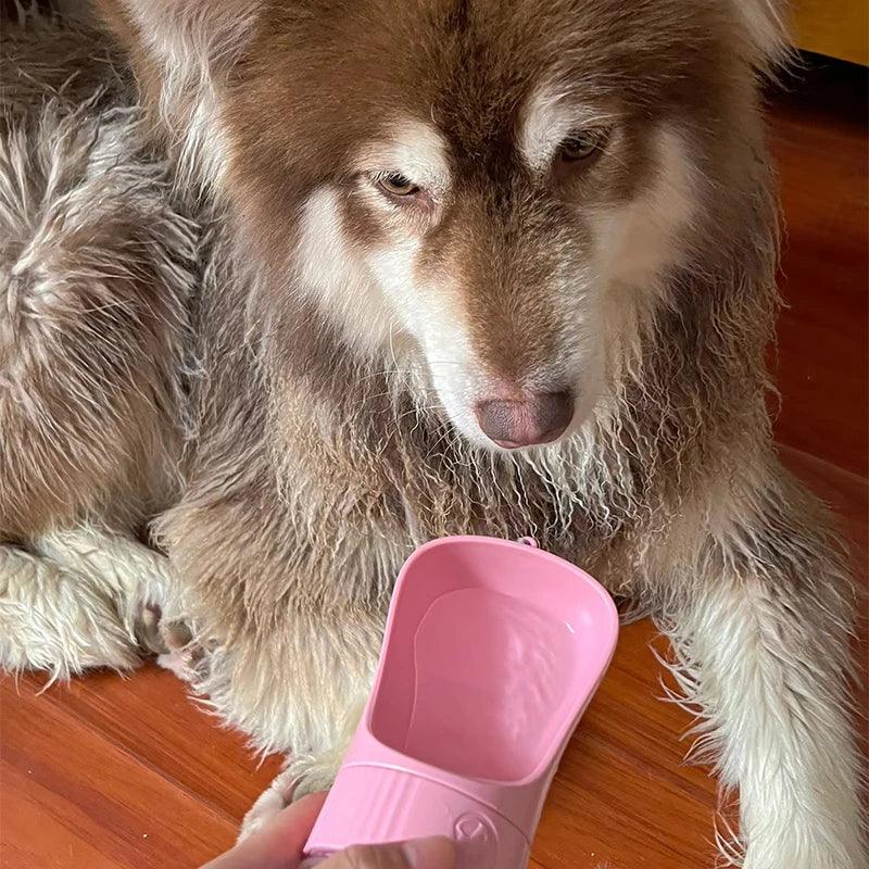 AquaPet 2 em 1 - Garrafa de Água 2 em 1 para Pets